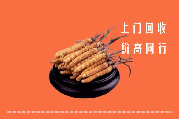 陇川县冬虫夏草回收多少钱每克