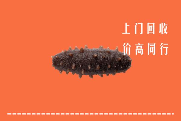 收购行情：陇川县回收海参